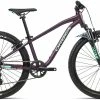 Orbea MX 24 XC